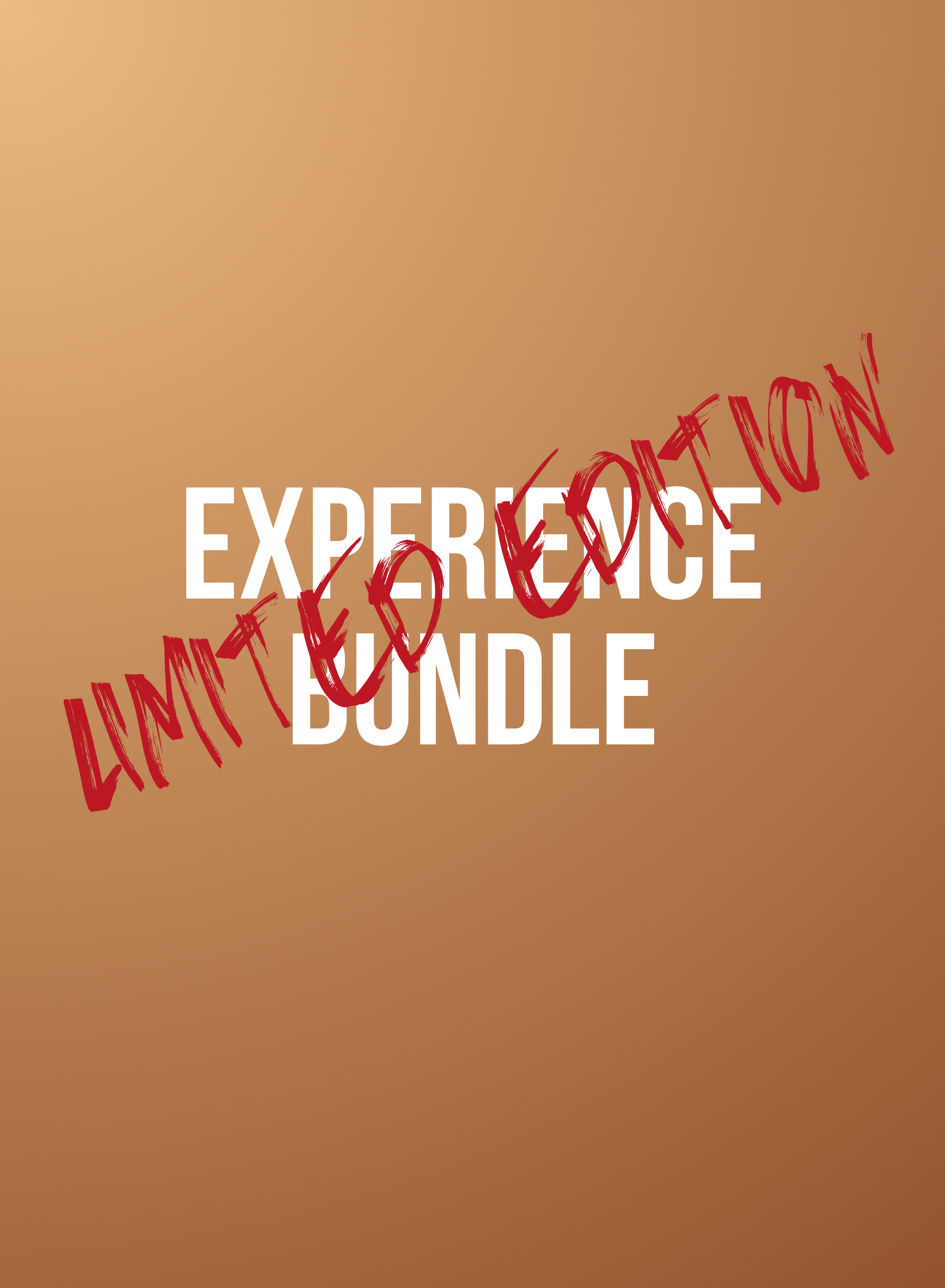 EXPERIENCE BUNDLE LIMITED